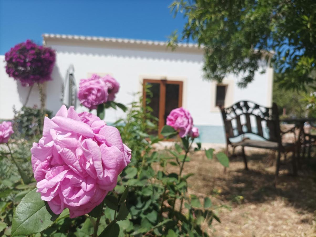 Can Pep Pardal Sant Miquel De Balansat Exterior photo